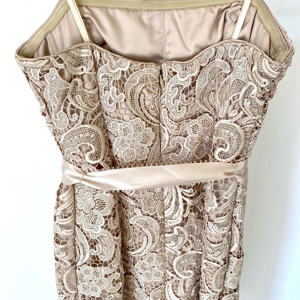 Beautiful Cache Lace Dress - Picture 4 of 5